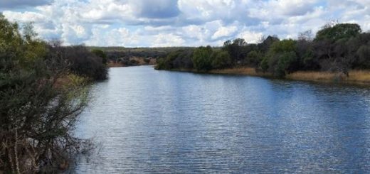 Doorndraai Dam Birding
