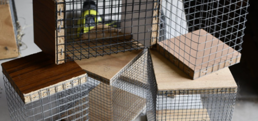 Nest boxes for finches