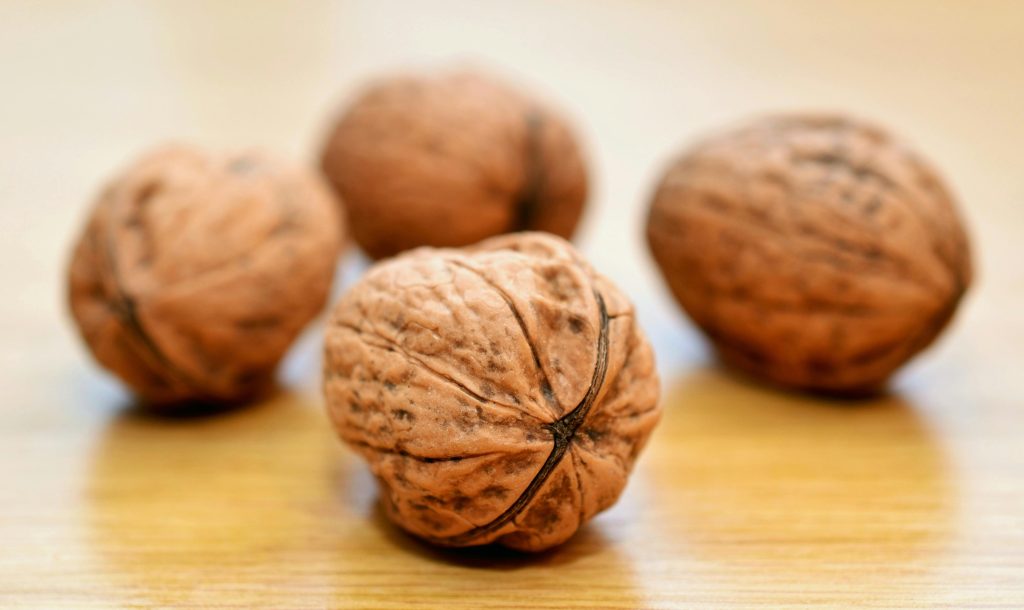 Walnuts for birds