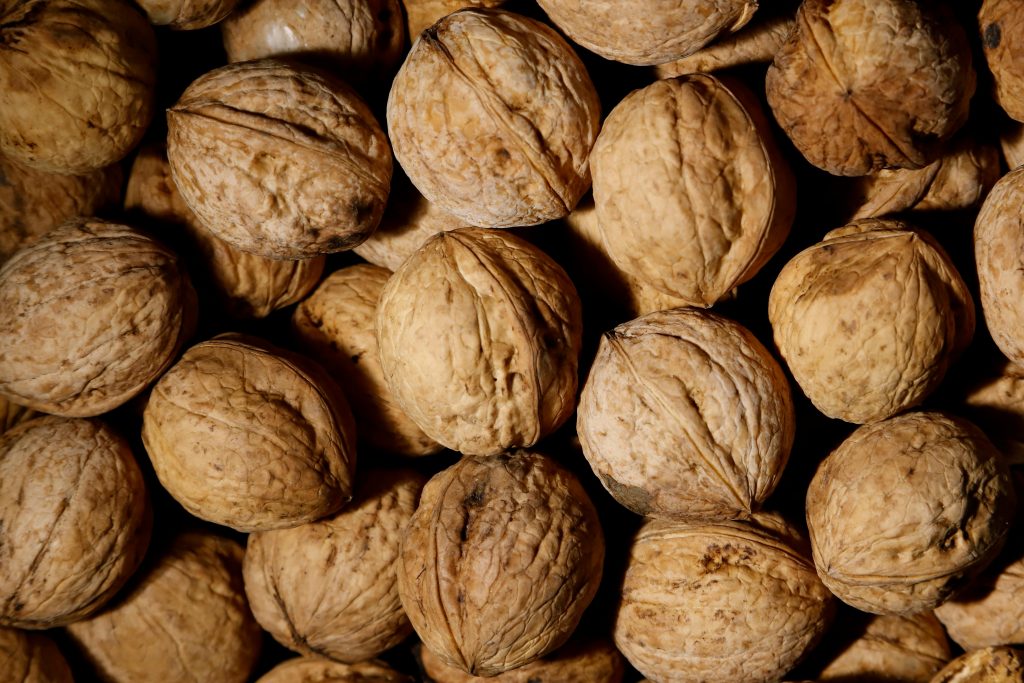 Walnuts for birds