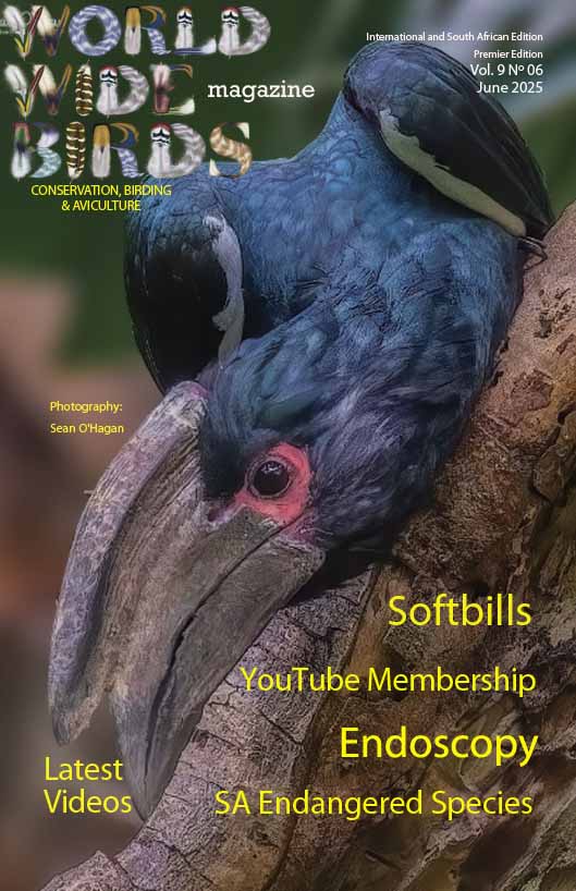Bird magazine International May 2025