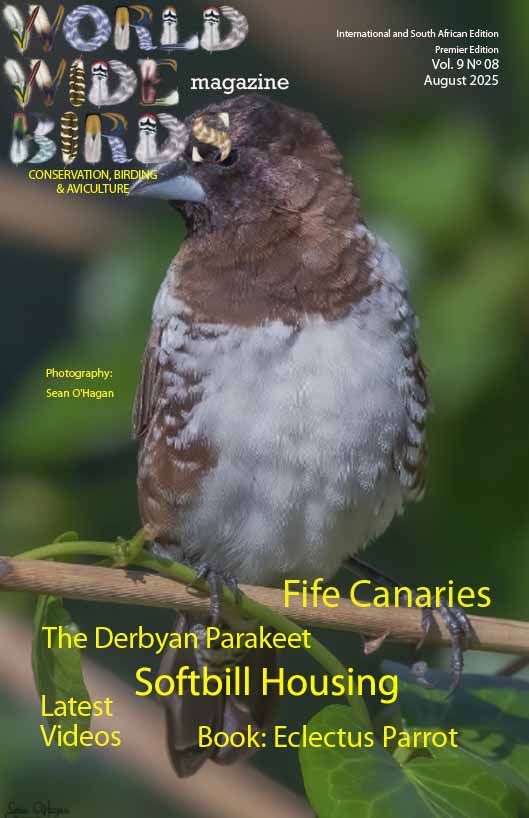 Bird magazine August 2025