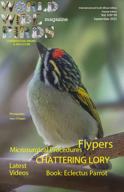 Bird magazine September 2025