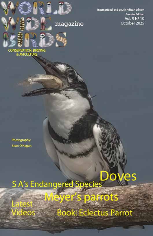 Bird magazine October 2025