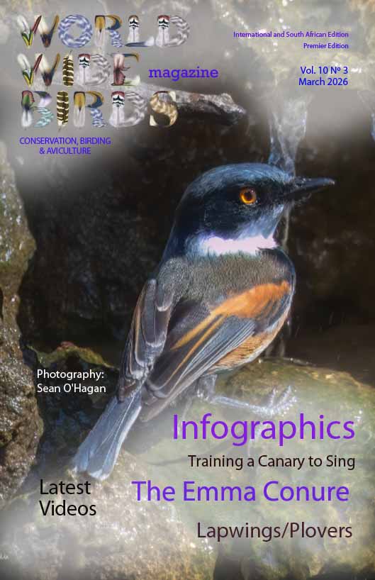 Bird magazine March 2026