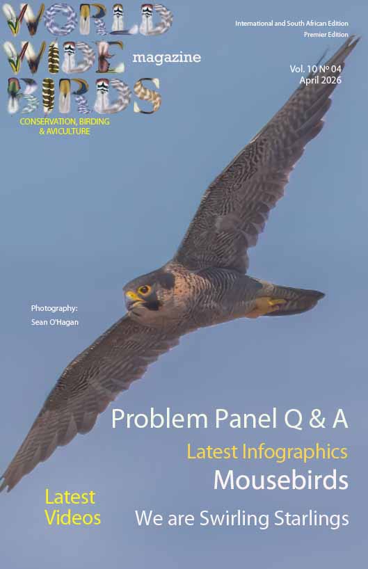 Bird magazine April 2026