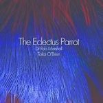 THE-ECLECTUS-PARROT-By-Dr-Rob-Marshall-Tailai-OBrien.JPG