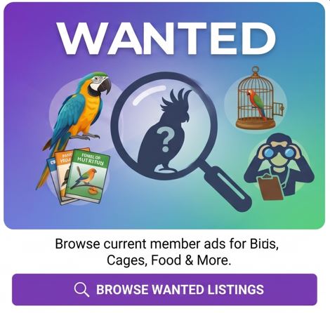 birds wanted