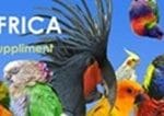 Avizon Hands On Africa logo