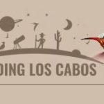 Birding-Los-Cabos.JPG