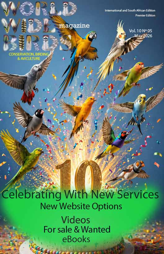 Bird magazine May 2026