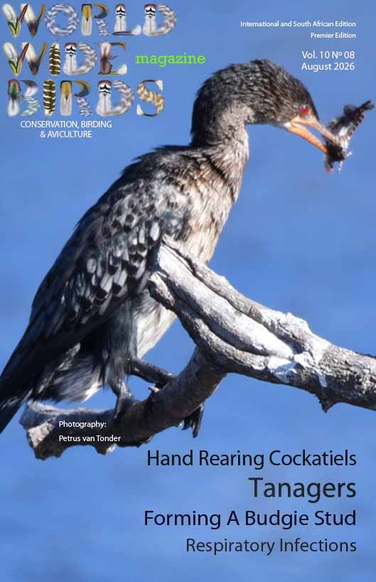 Bird magazine International August 2026