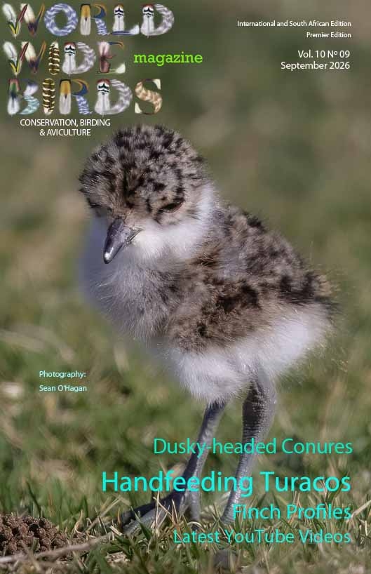 Bird magazine International September 2026
