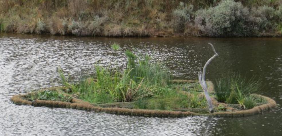 Floating wetland