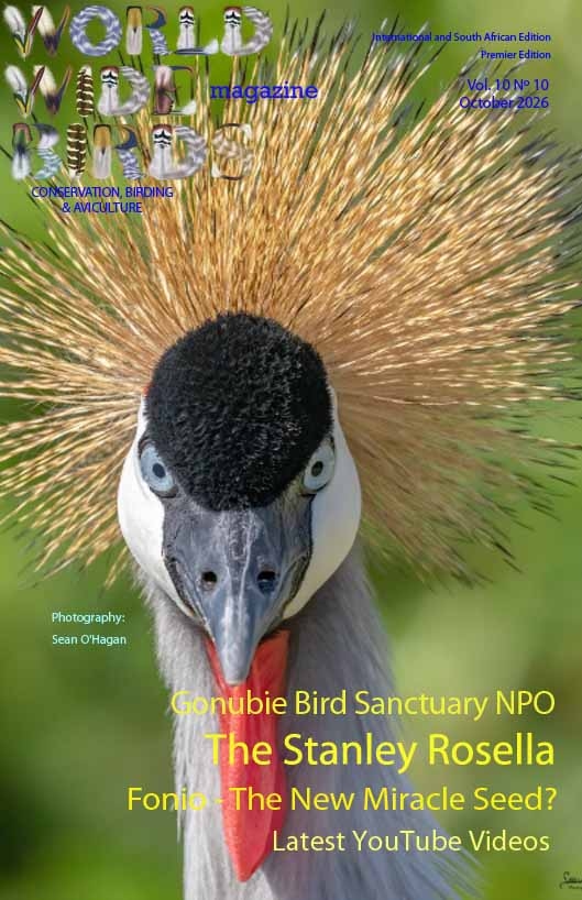 bird magazine cover International October 2026